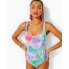 Brin One-Piece Swimsuit