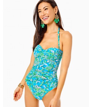 Flamenco One-Piece Swimsuit