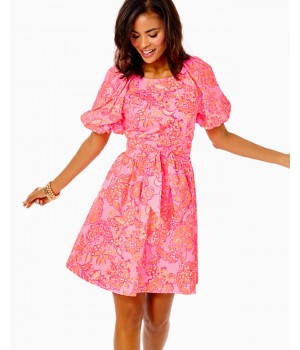 Knoxlie Dress