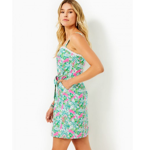 Kensington Stretch Cotton Dress