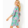 Krysta Tunic Dress