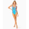 Jaspen One-Piece Swimsuit