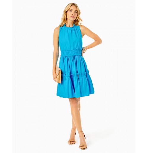 Elina Stretch Ruffle Dress